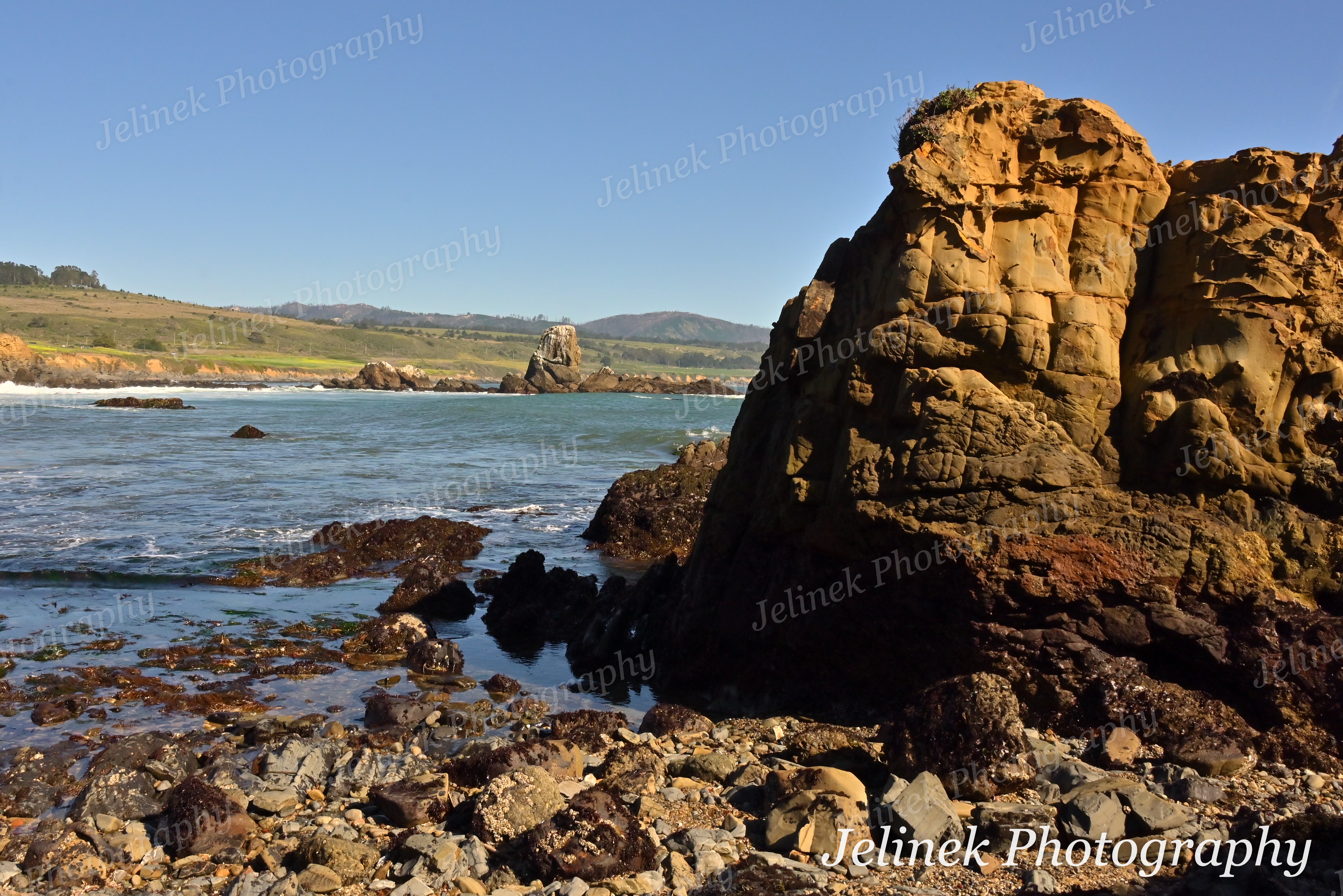Santa Cruz Coast #3