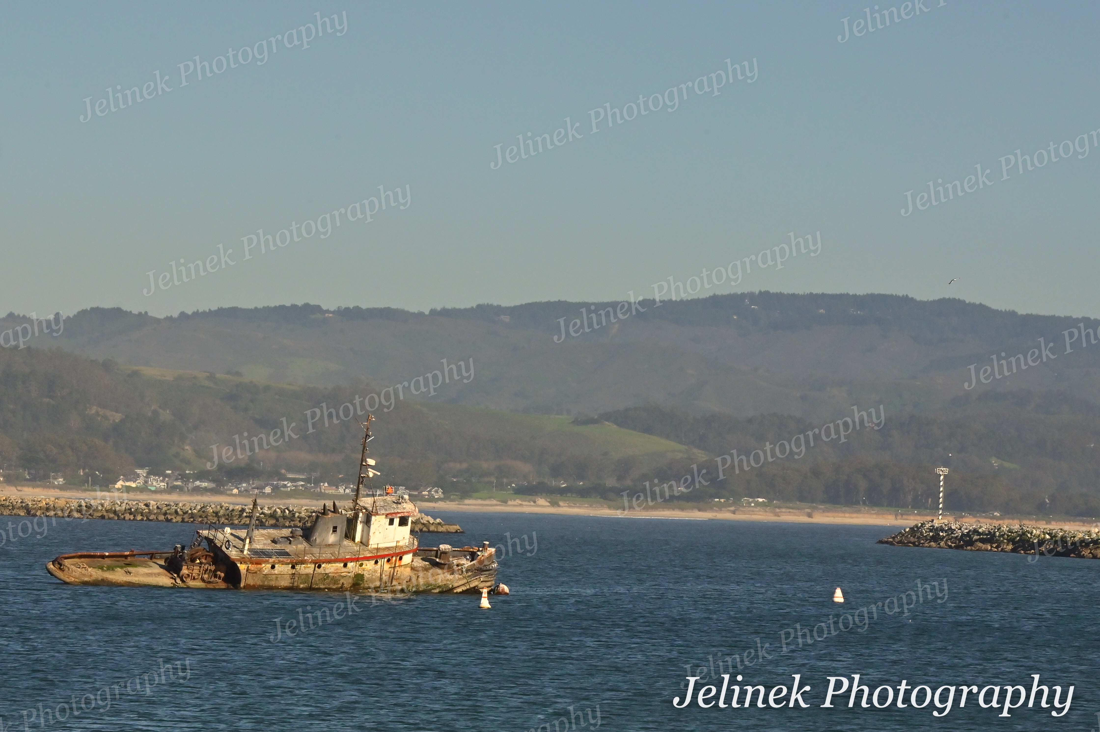 Half Moon Bay Coast #1