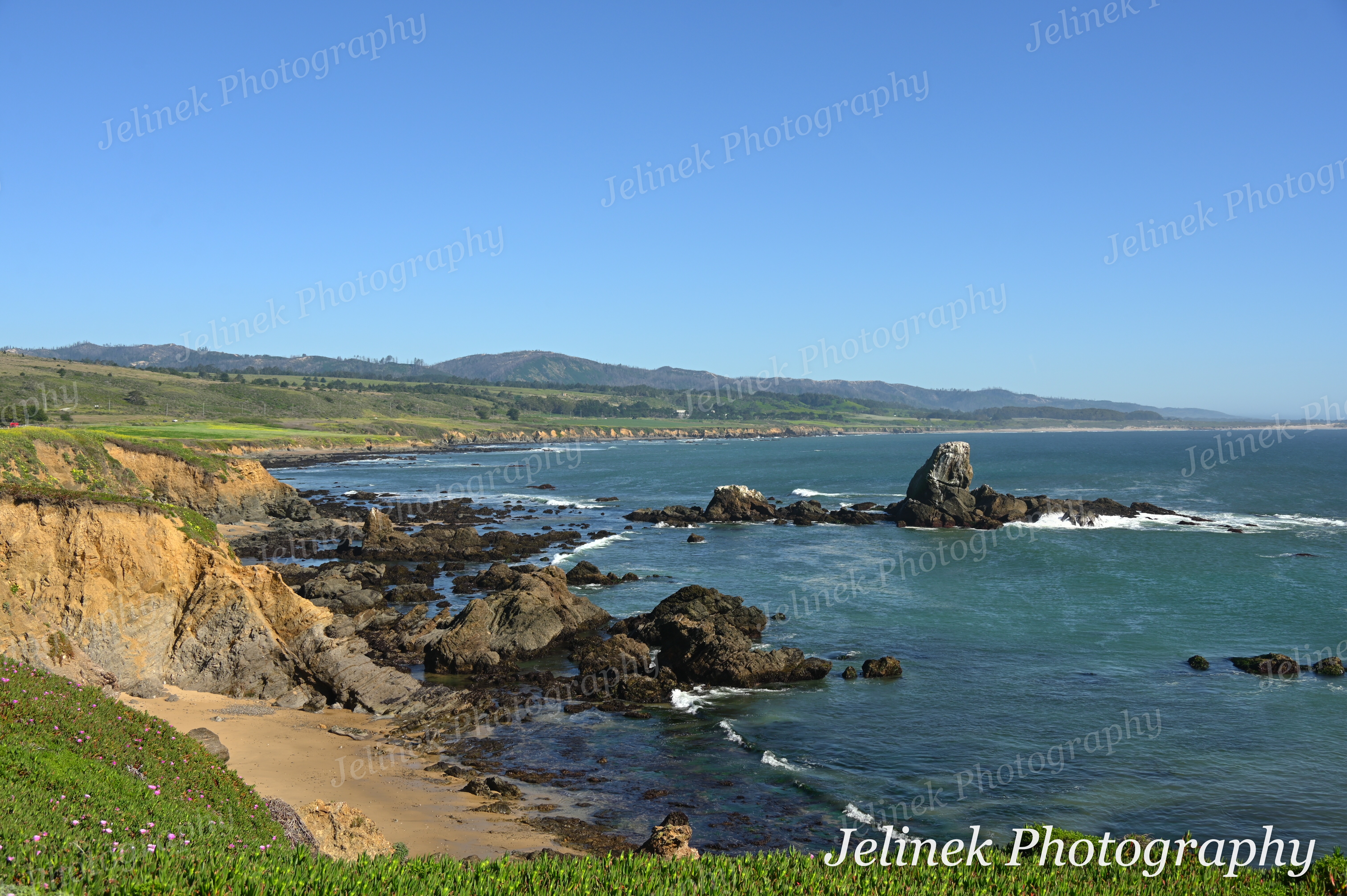 Santa Cruz Coast #7