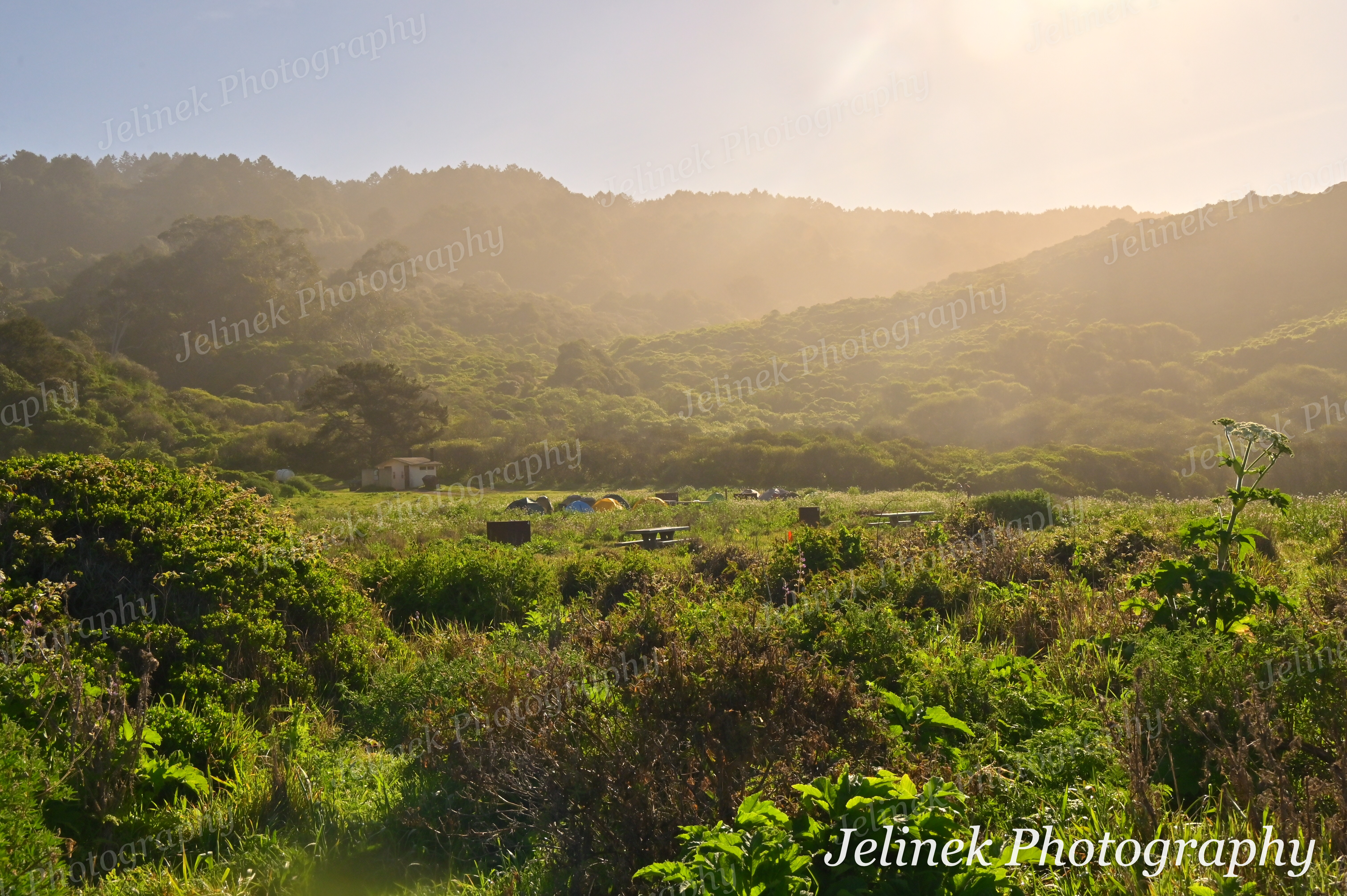 Point Reyes Coast #15