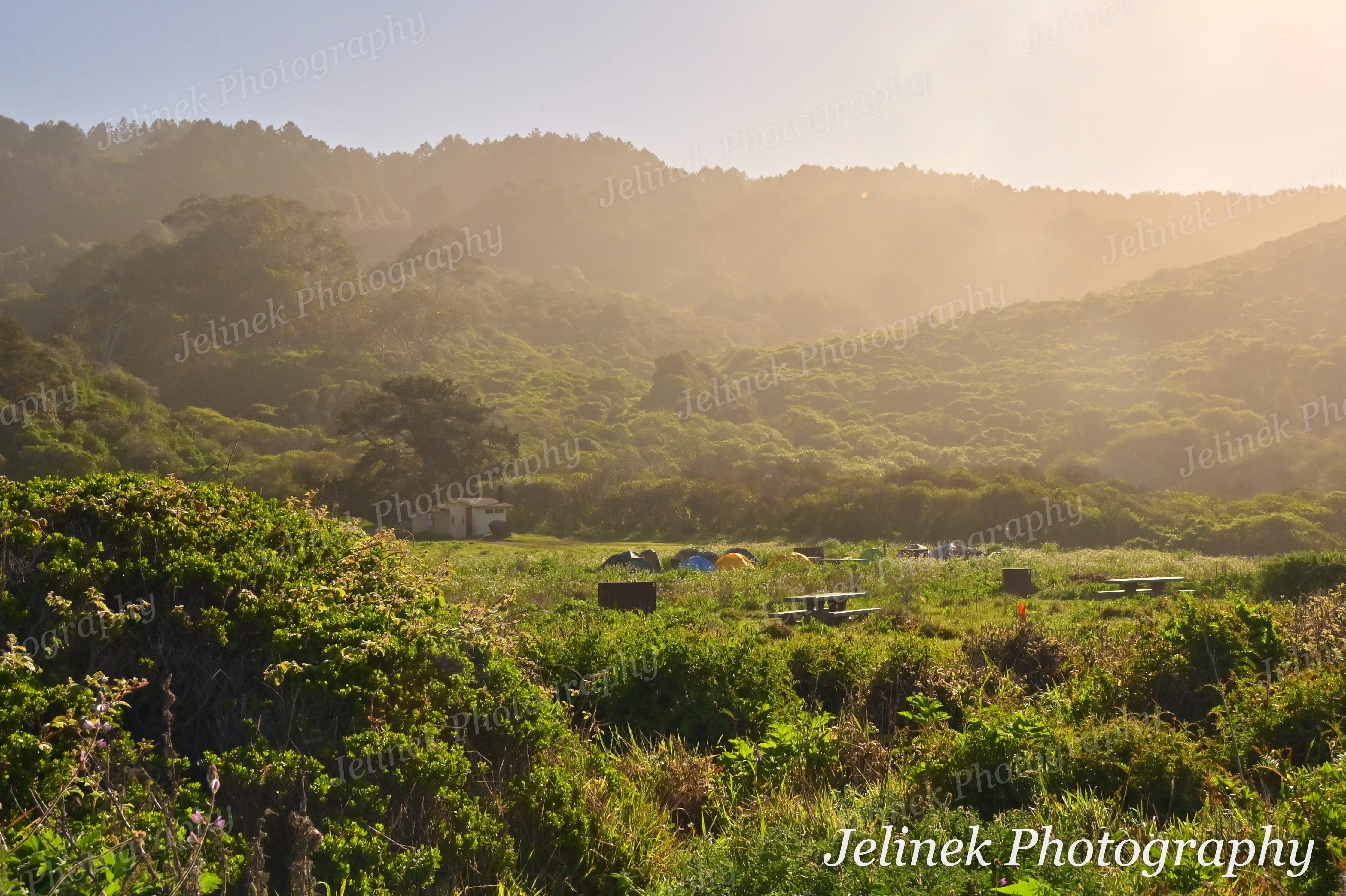Point Reyes Coast #12