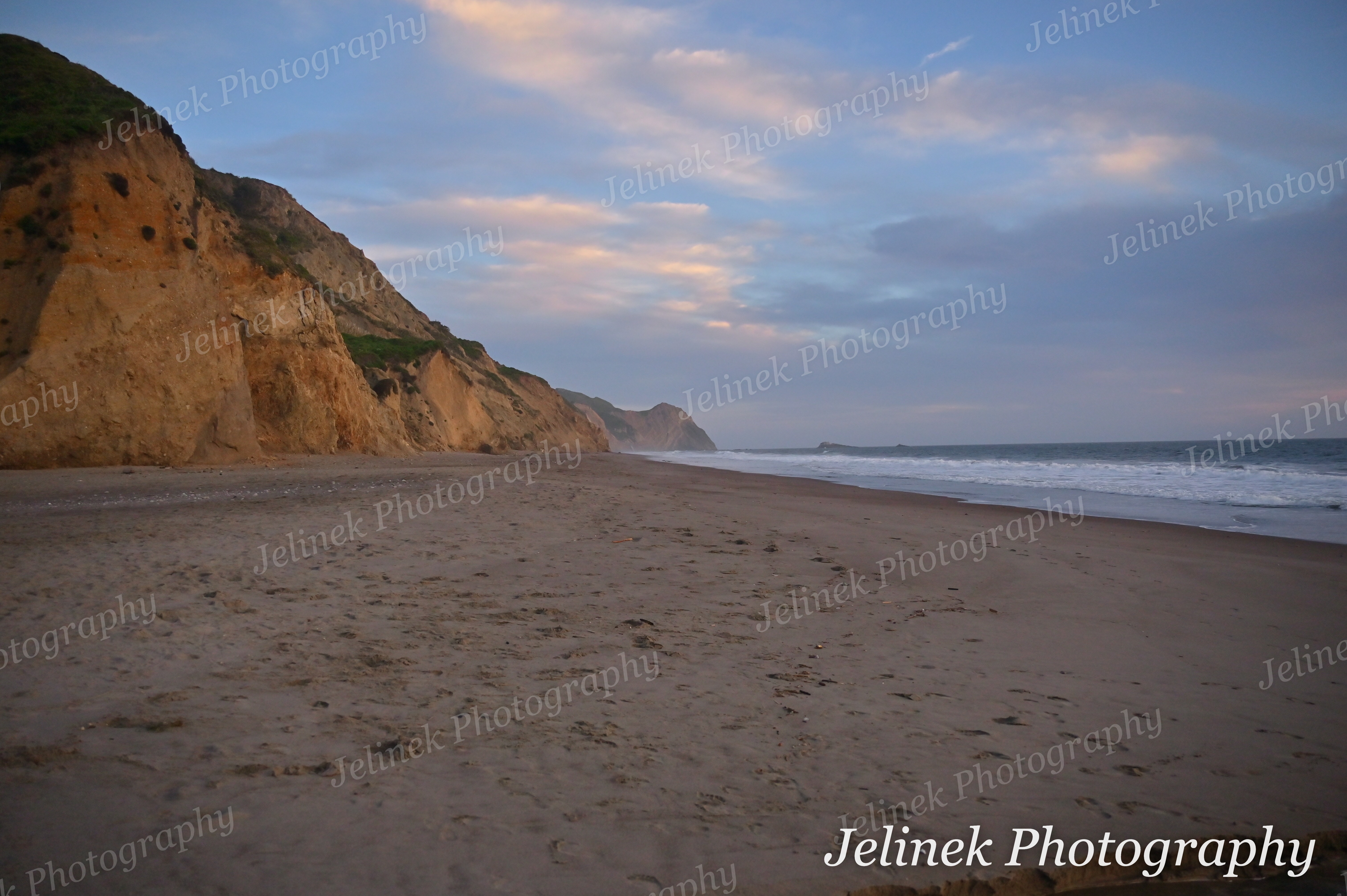 Point Reyes Coast #11