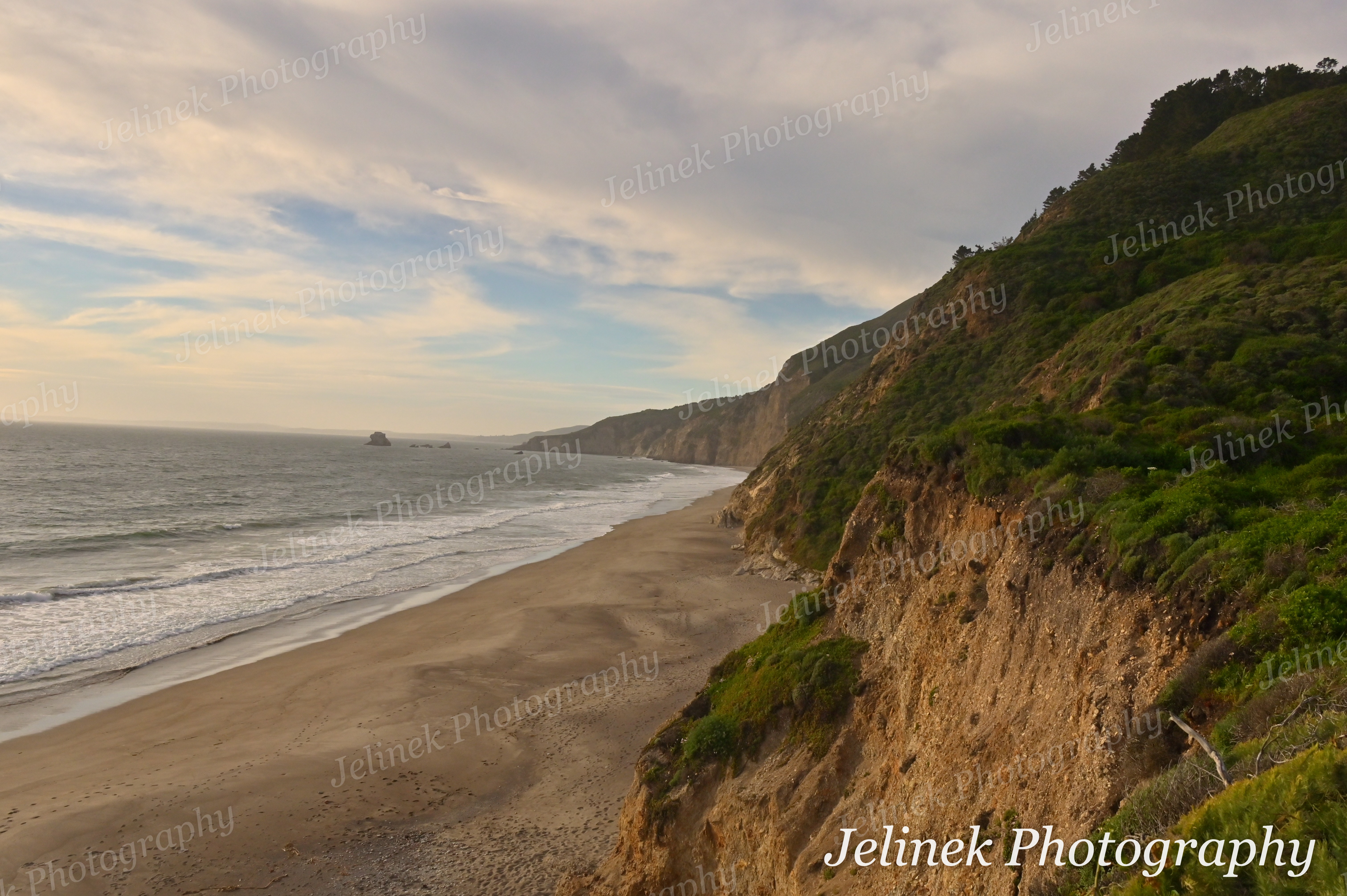Point Reyes Coast #18