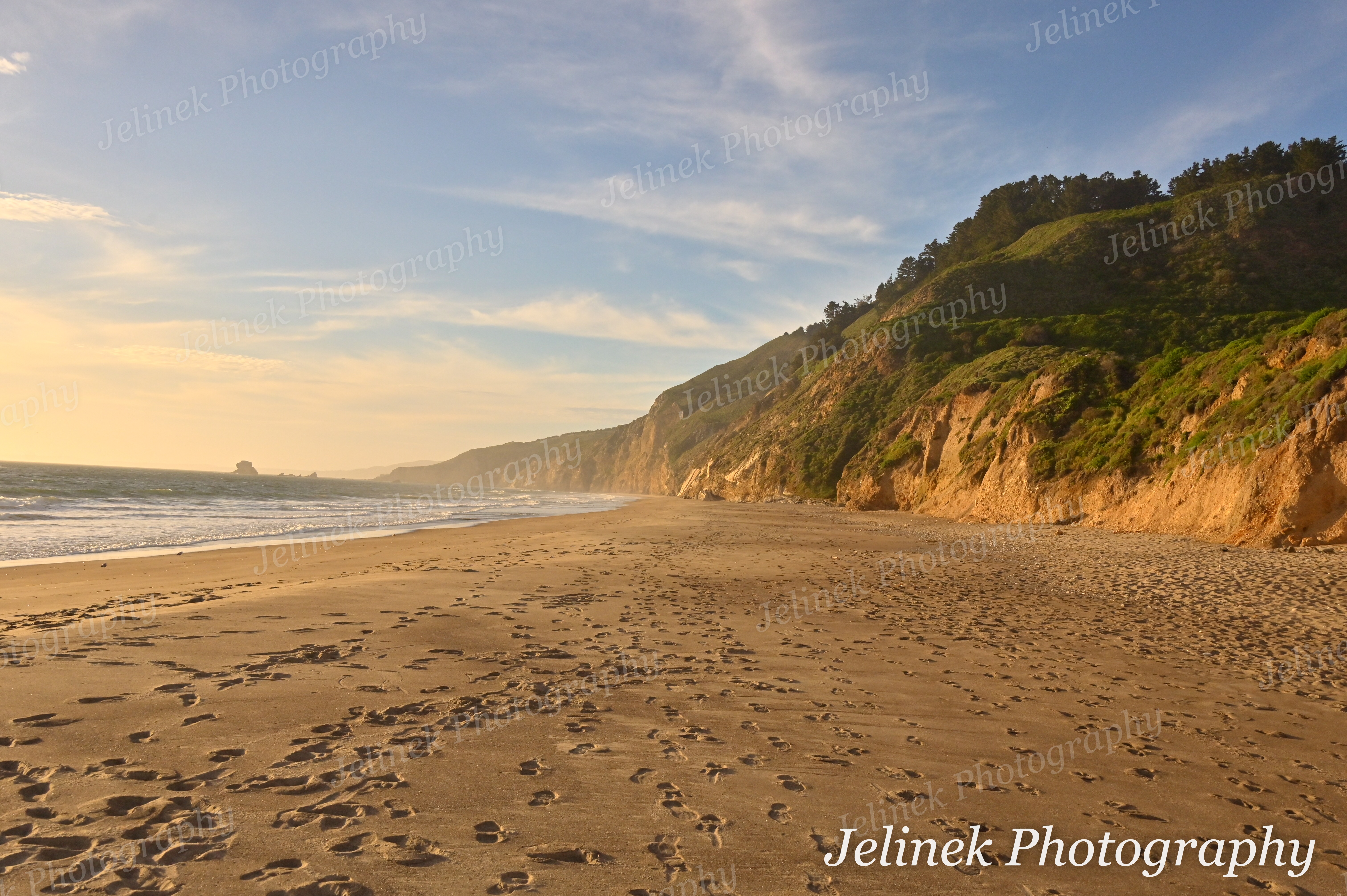 Point Reyes Coast #8