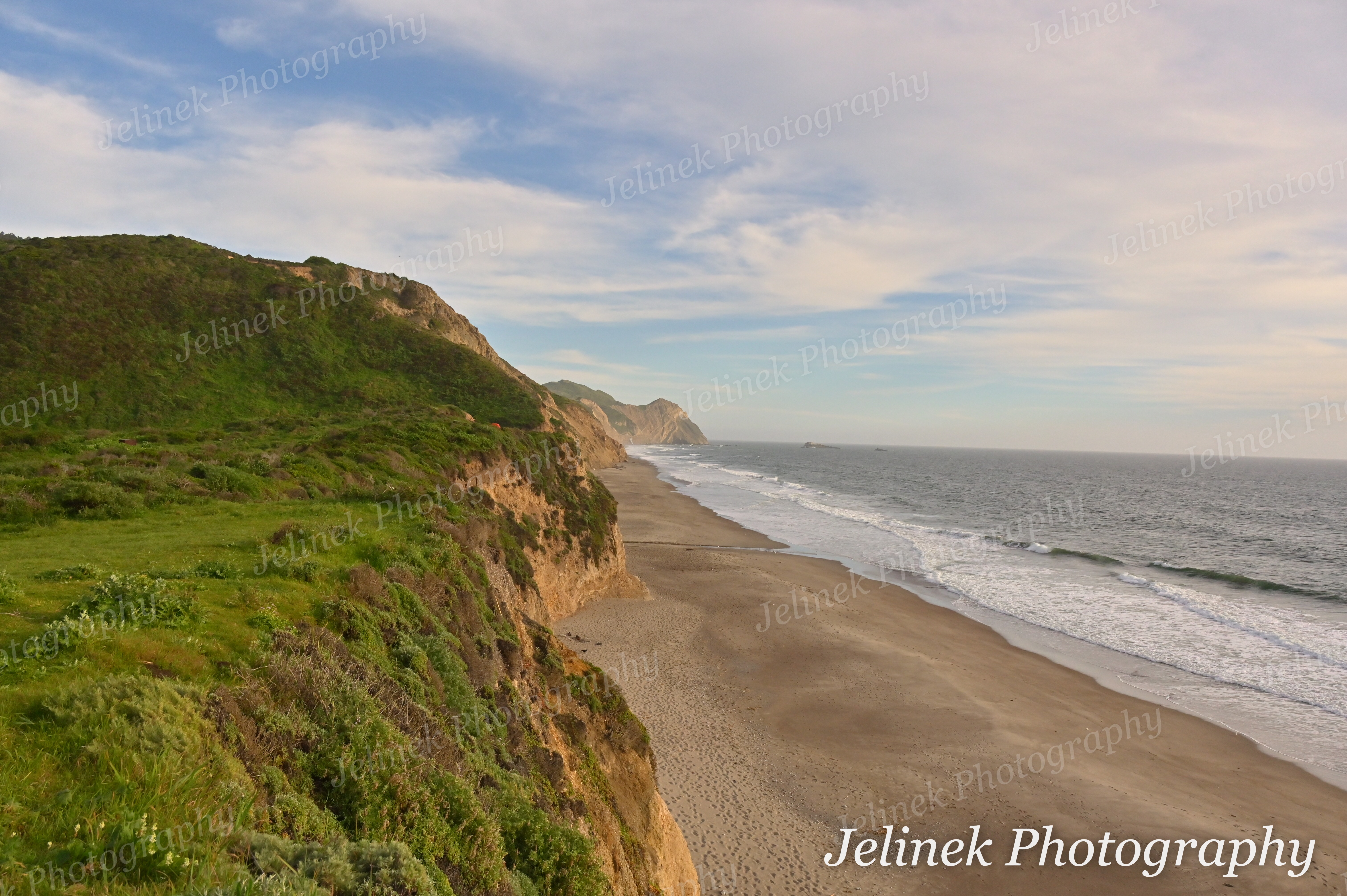 Point Reyes Coast #7