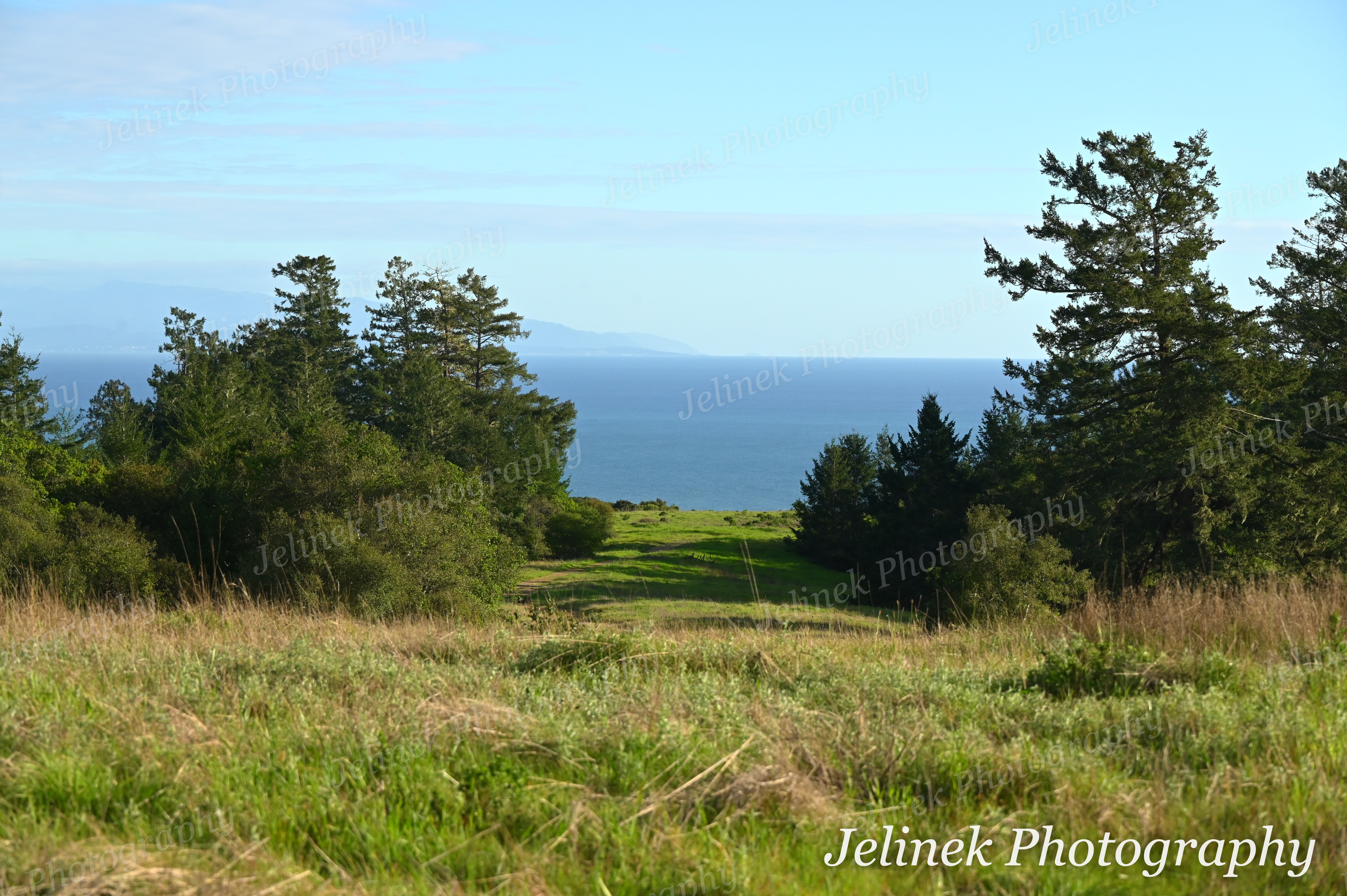 Santa Cruz Coast #6