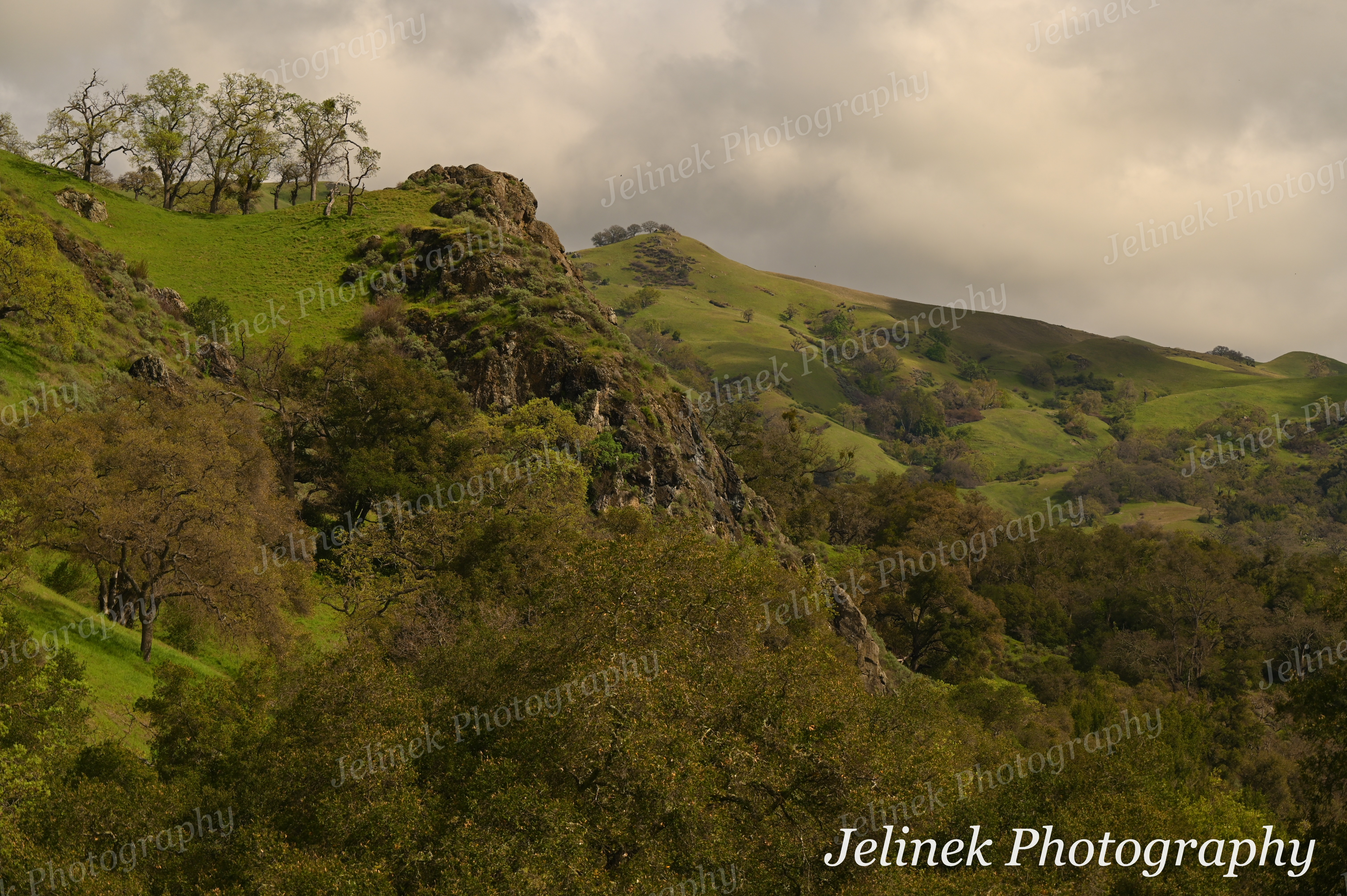 Sunol Regional Wilderness #2