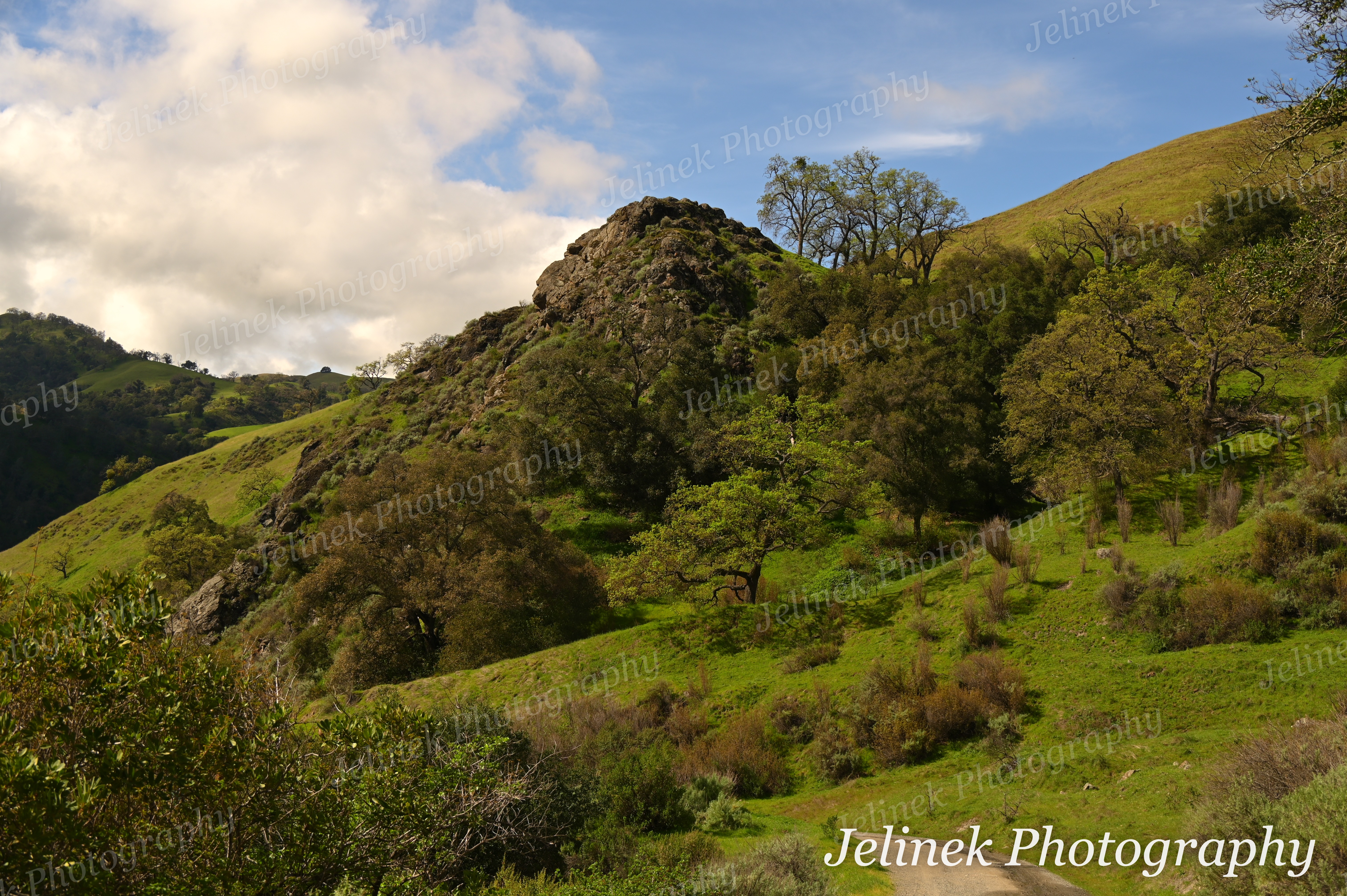 Sunol Regional Wilderness #1