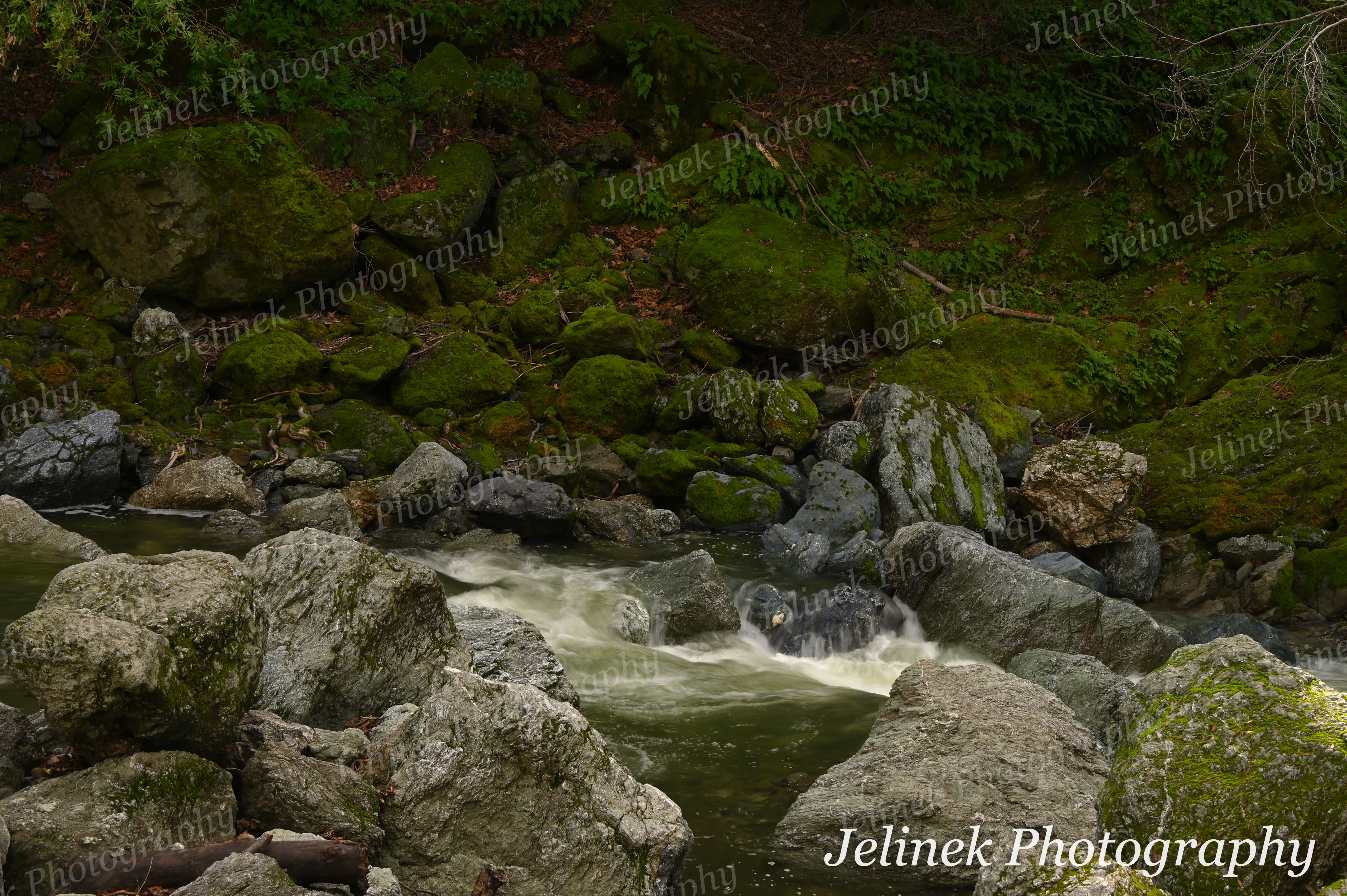 Sunol Regional Wilderness Waterfall #3