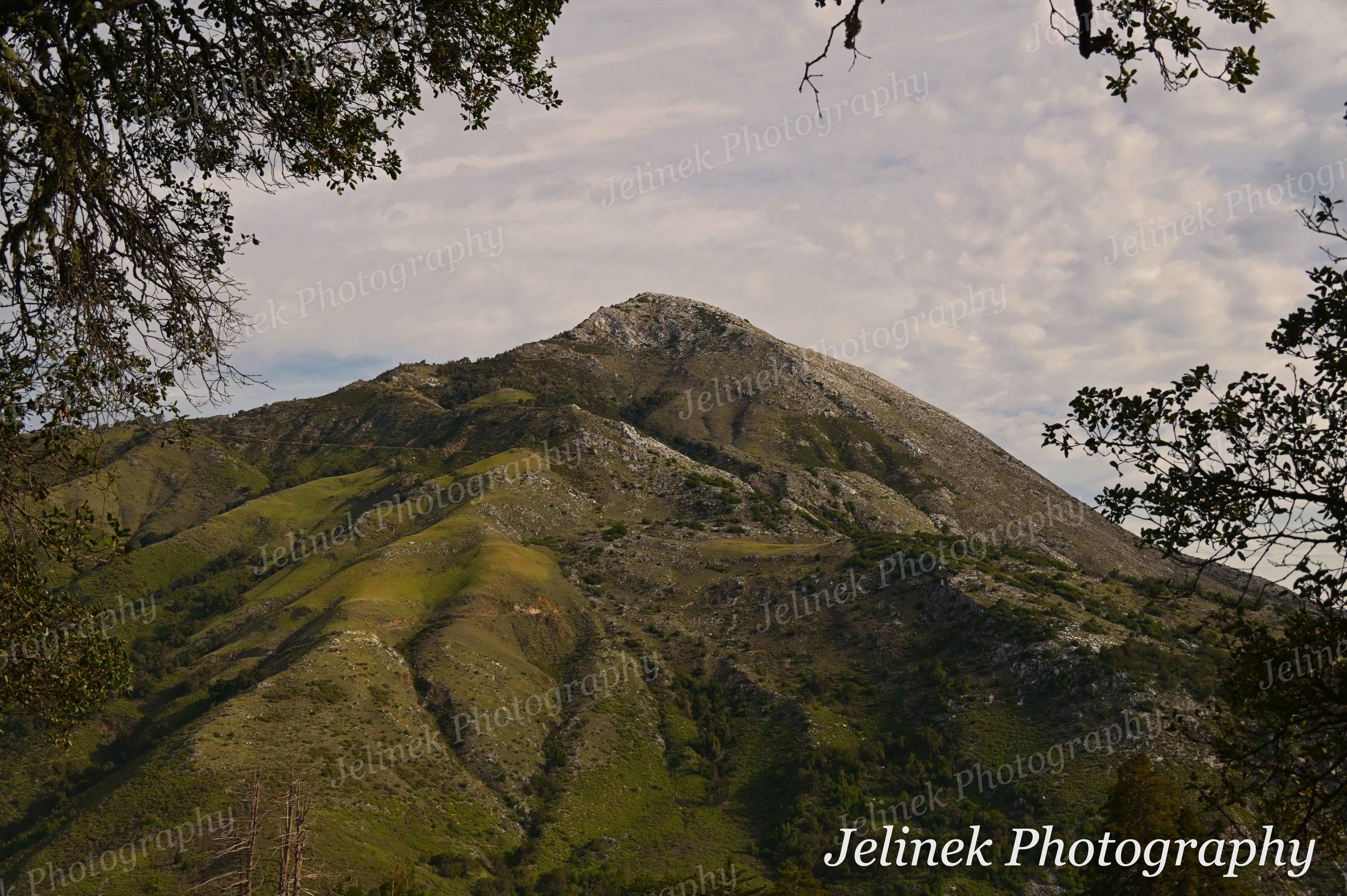 Big Sur Mountain #3