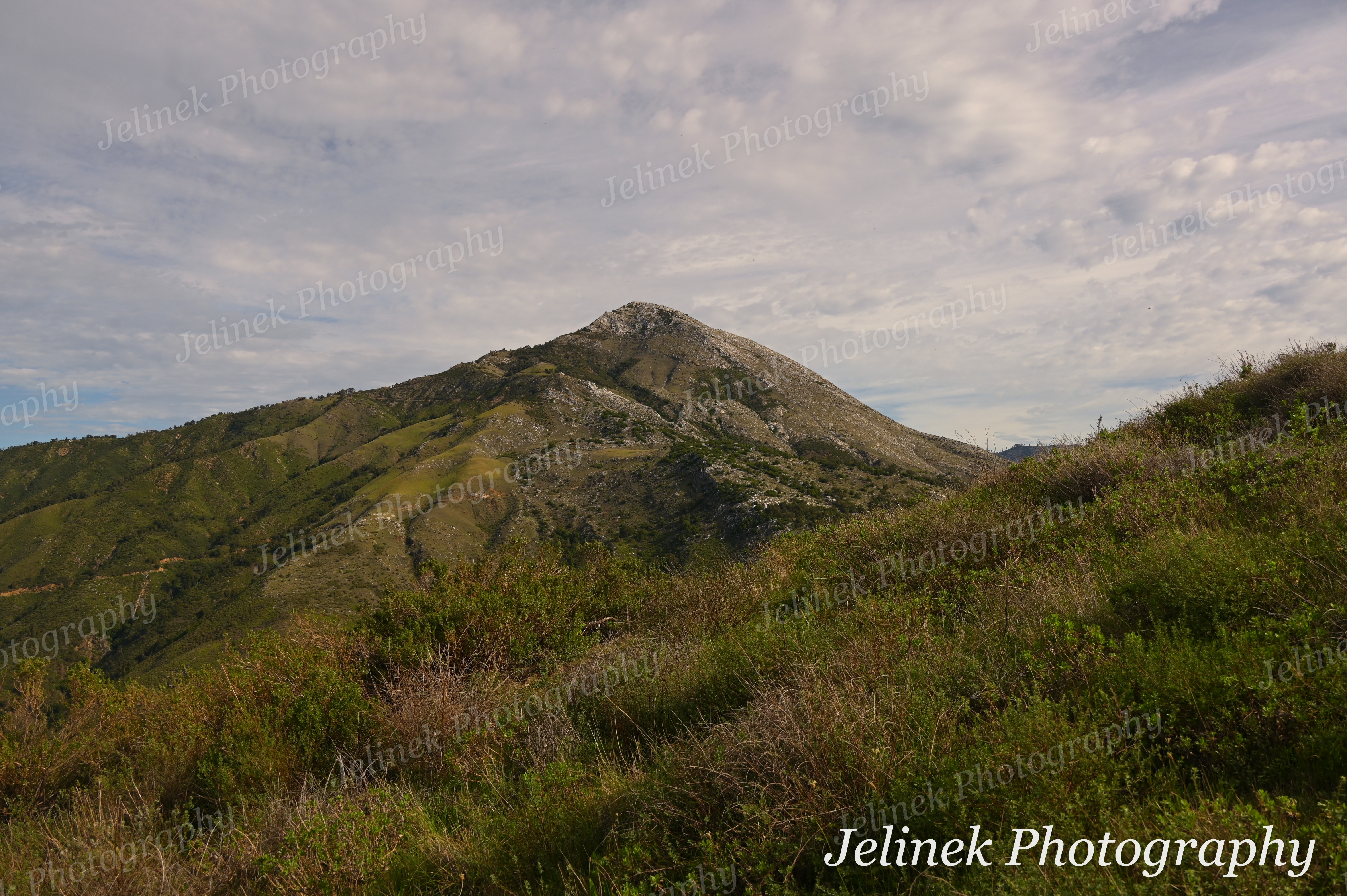 Big Sur Mountain #1