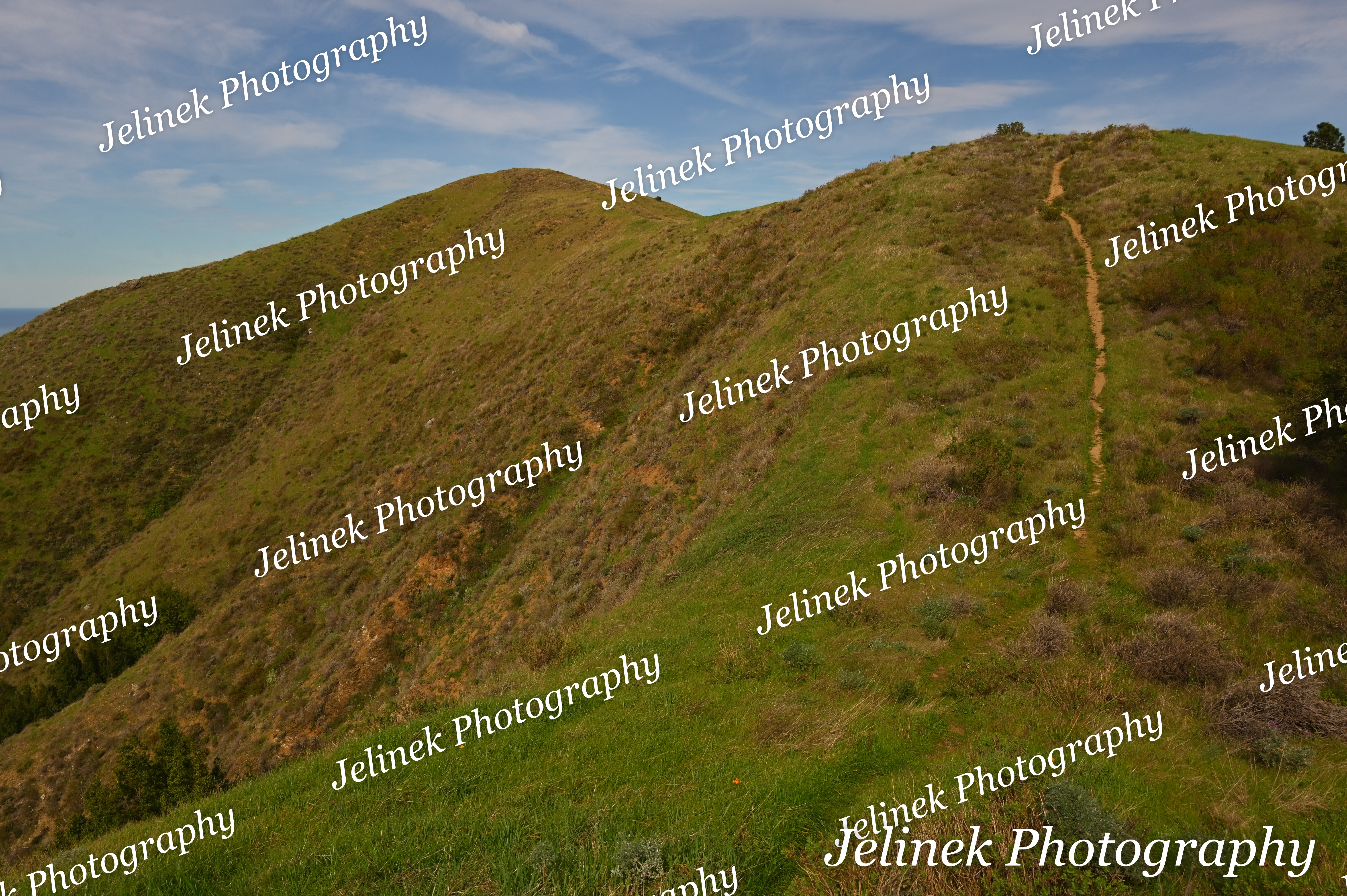 Big Sur Mountain #2