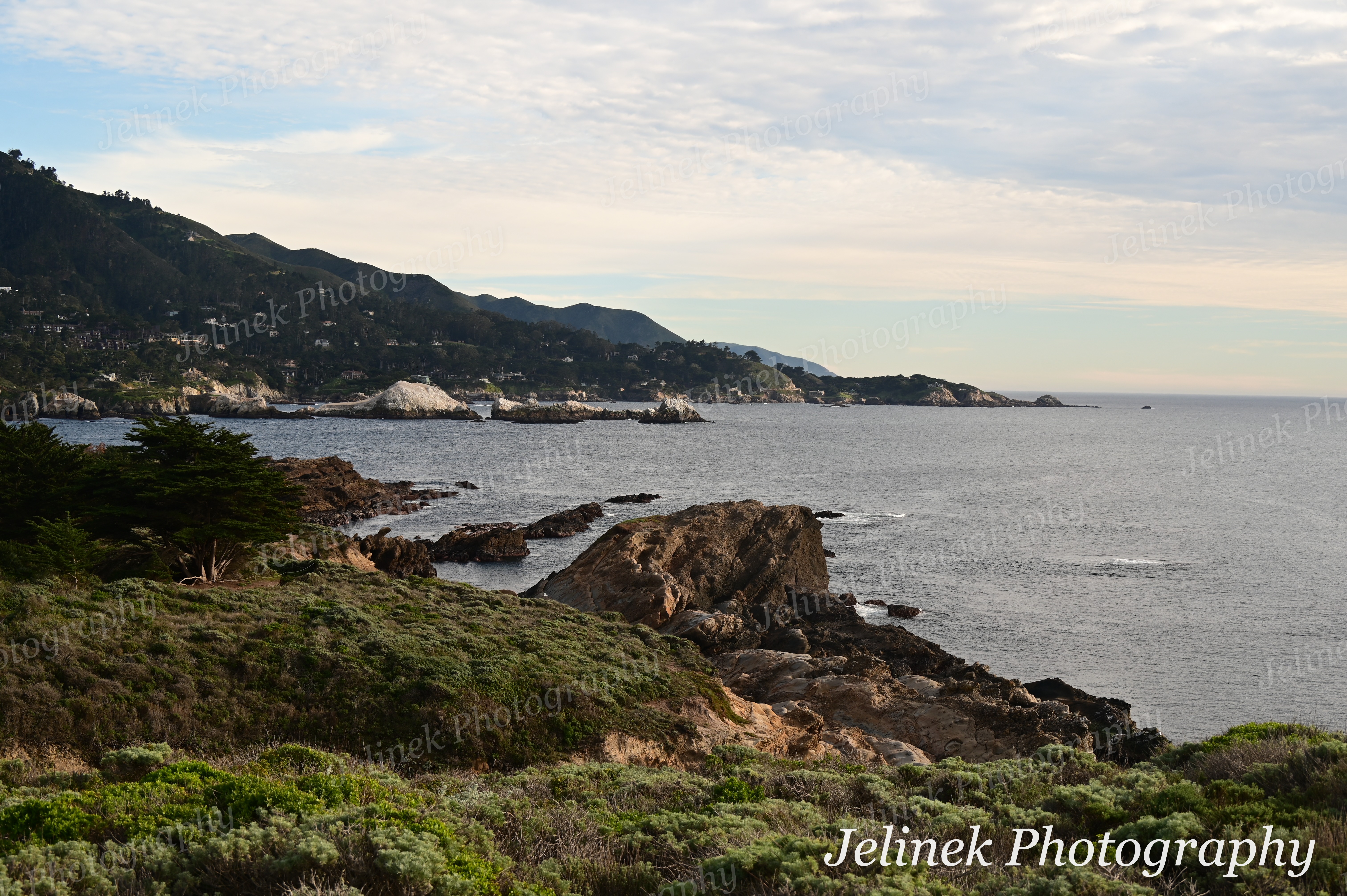 Big Sur Coast #4