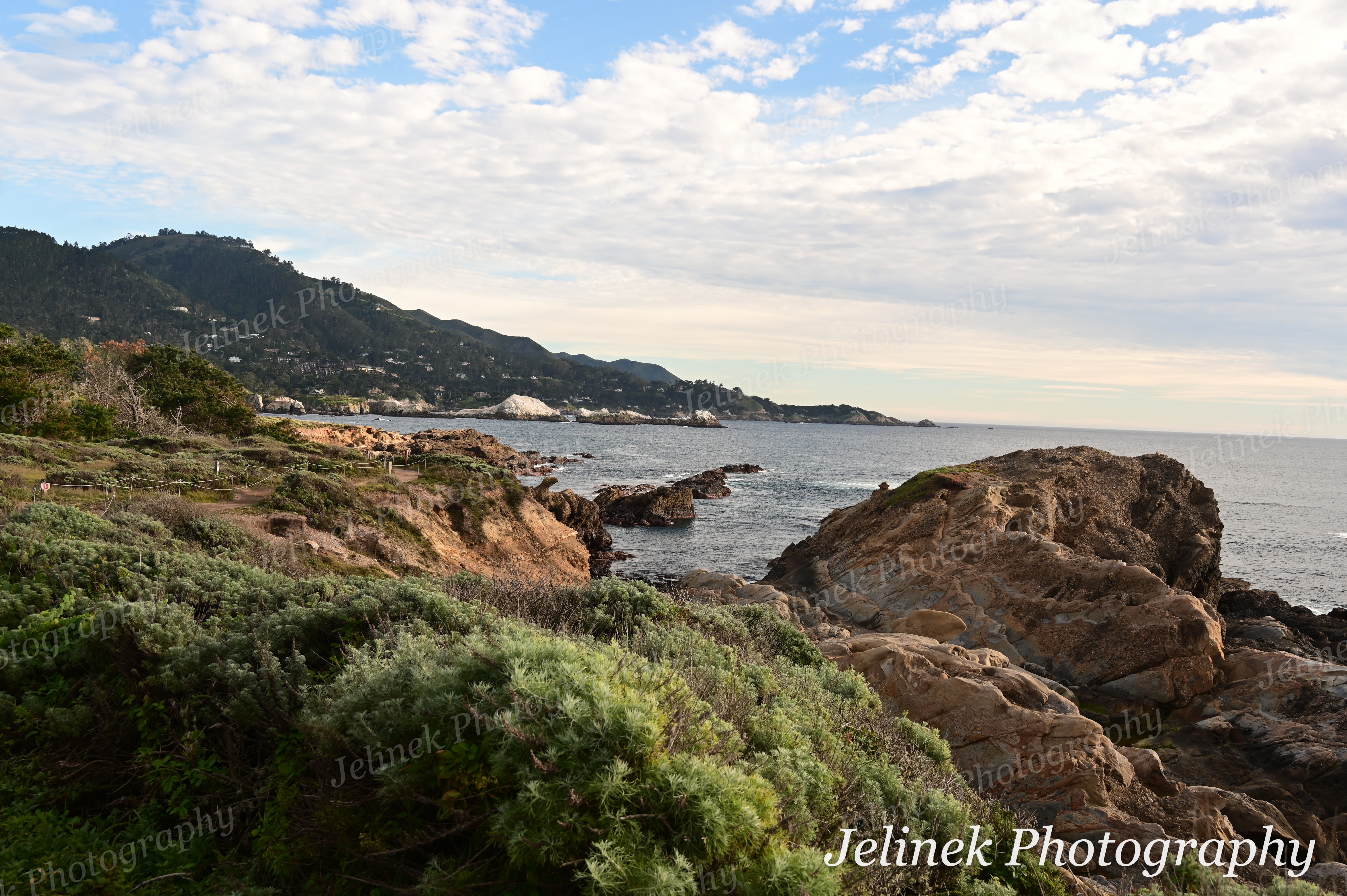 Big Sur Coast #8