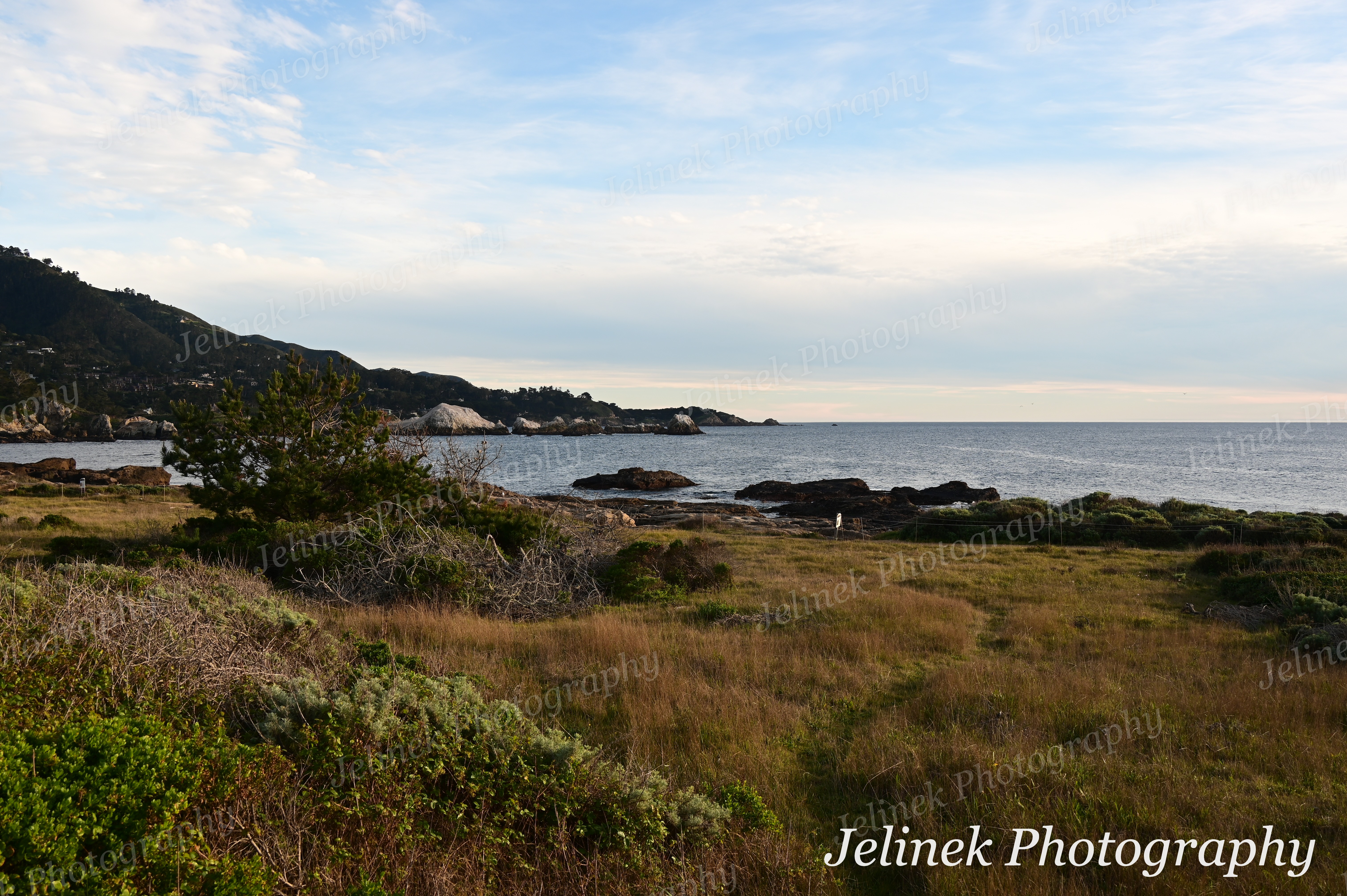 Big Sur Coast #5