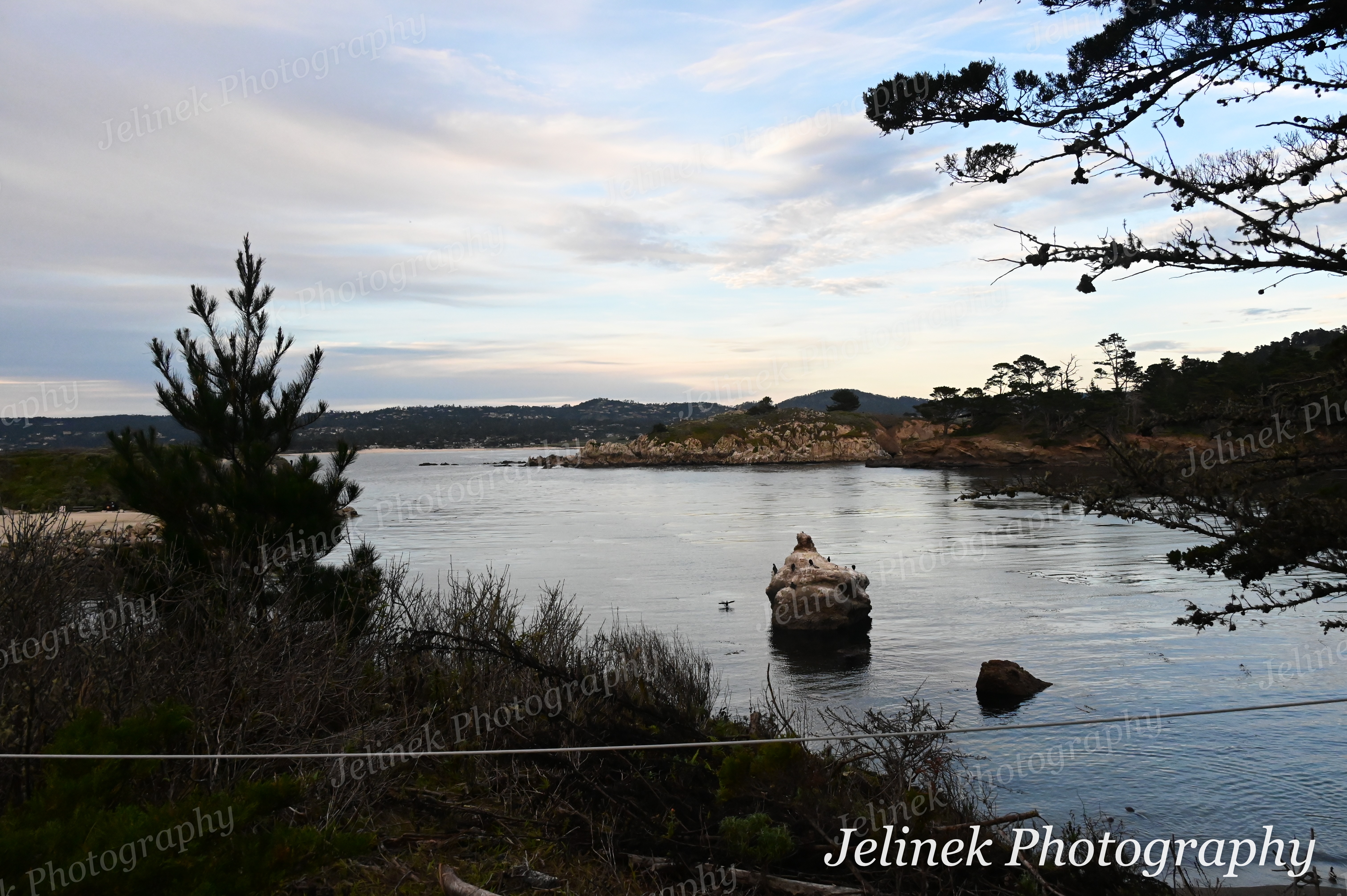 Big Sur Coast #6