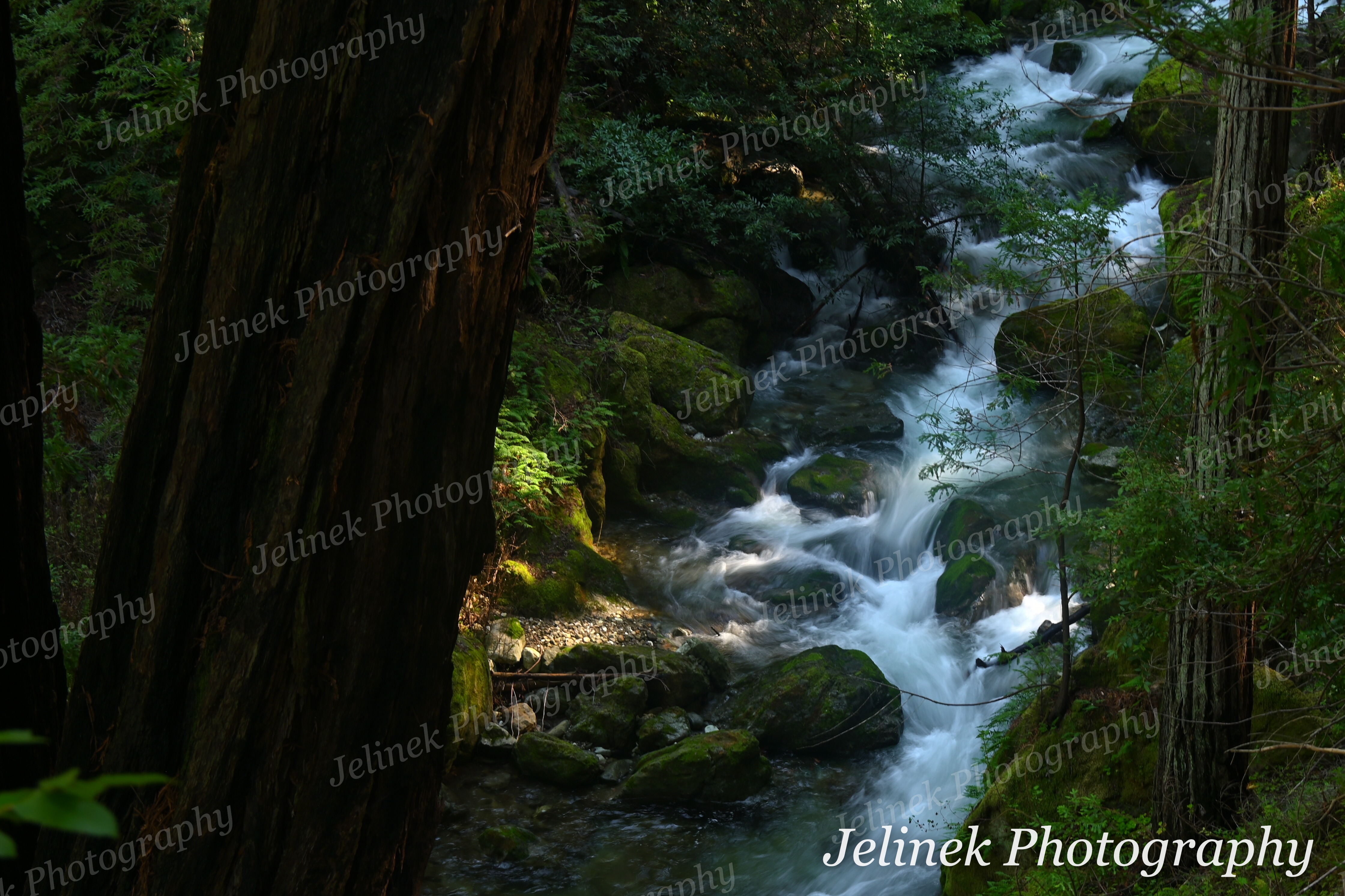 Big Sur Waterfall #1
