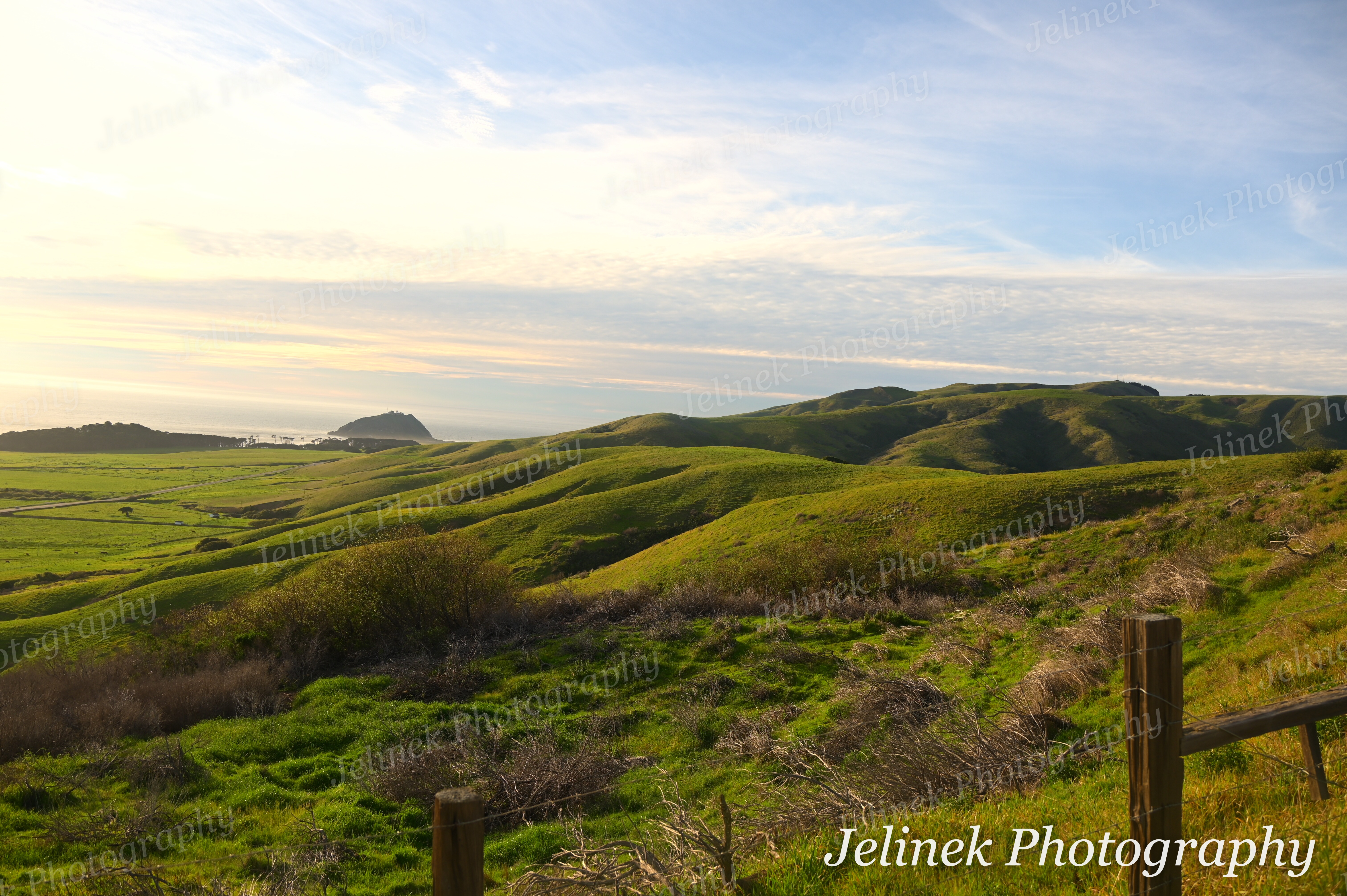 Big Sur Coast #1
