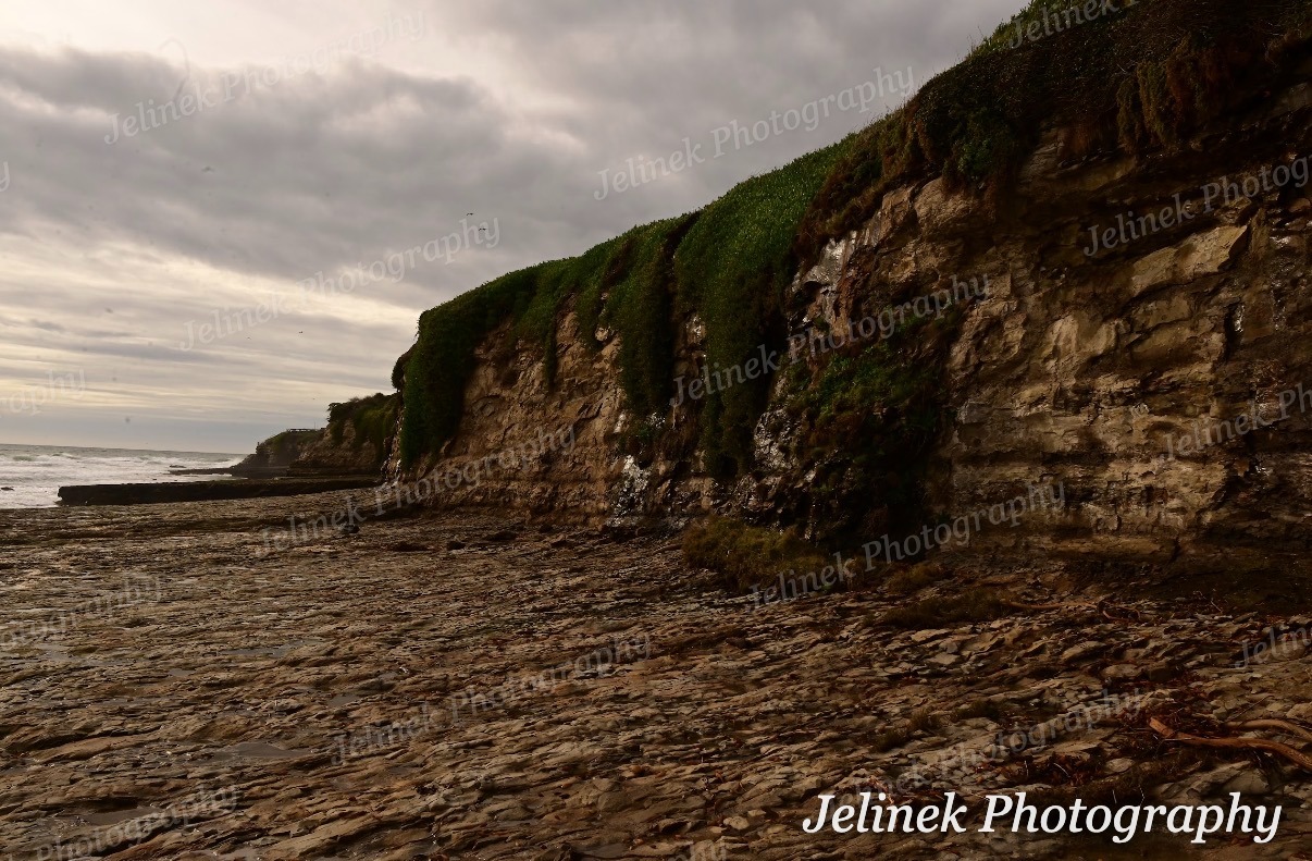 Santa Cruz Coast #4