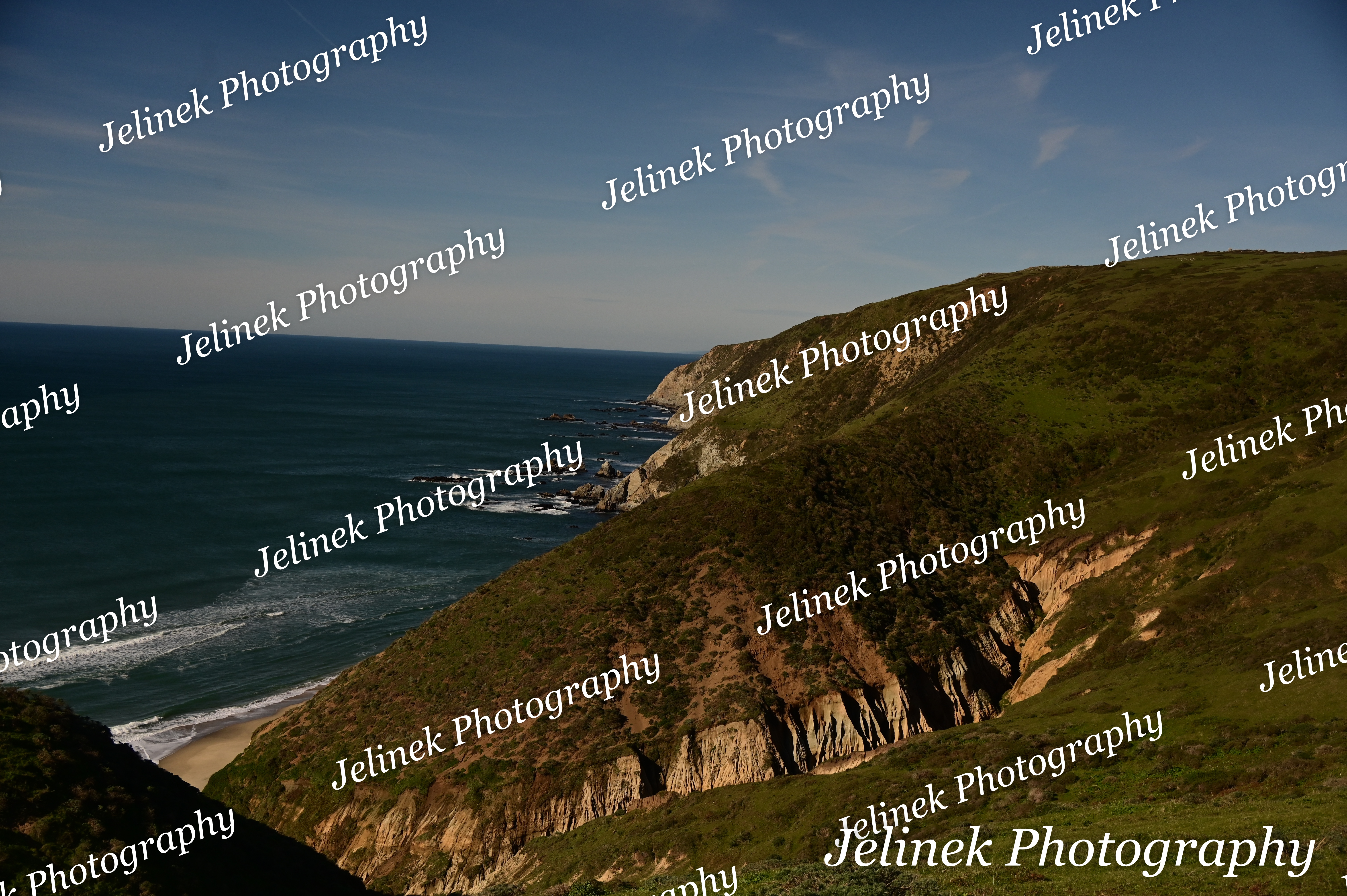 Point Reyes Coast #14