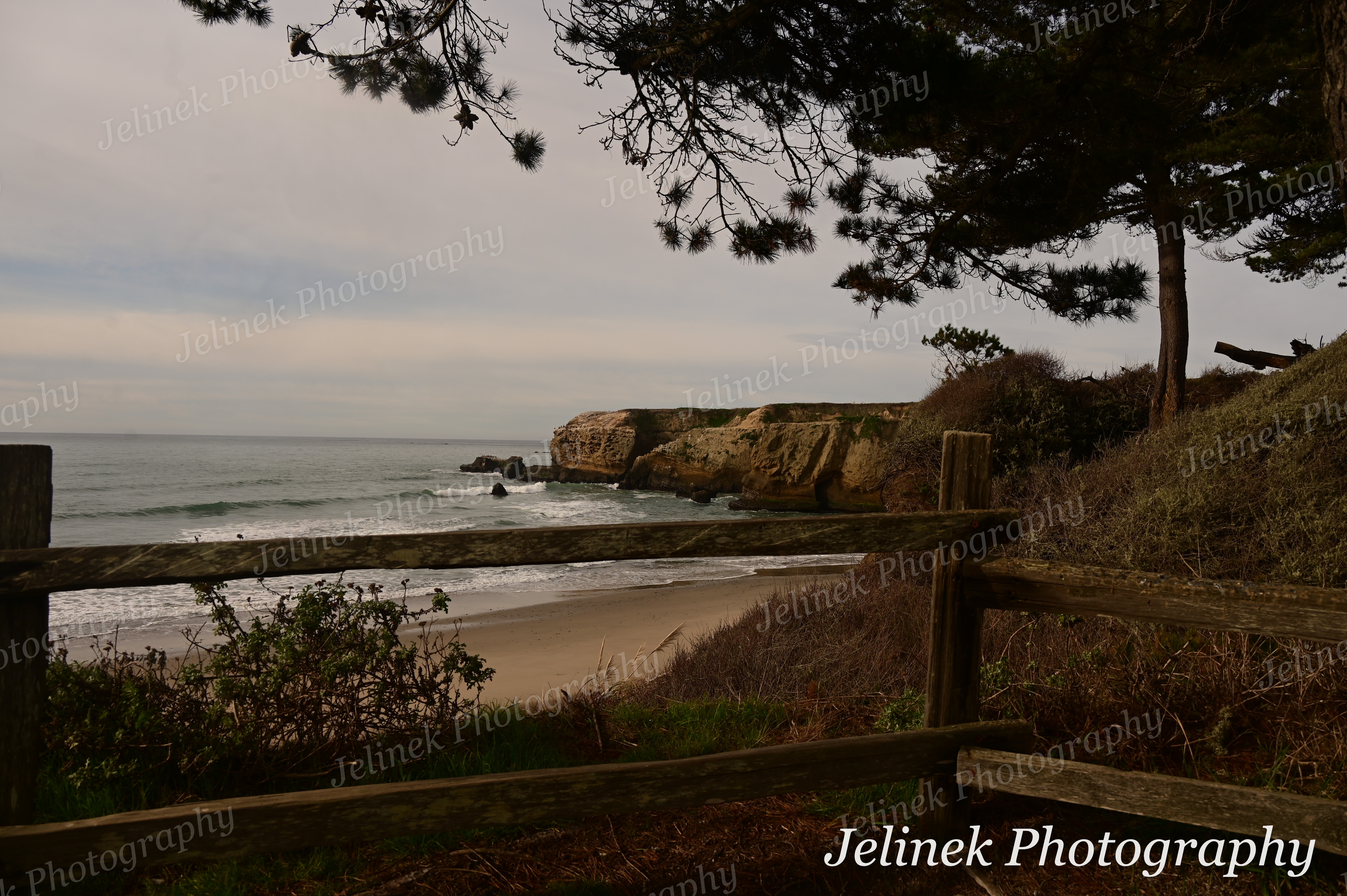 Santa Cruz Coast #2