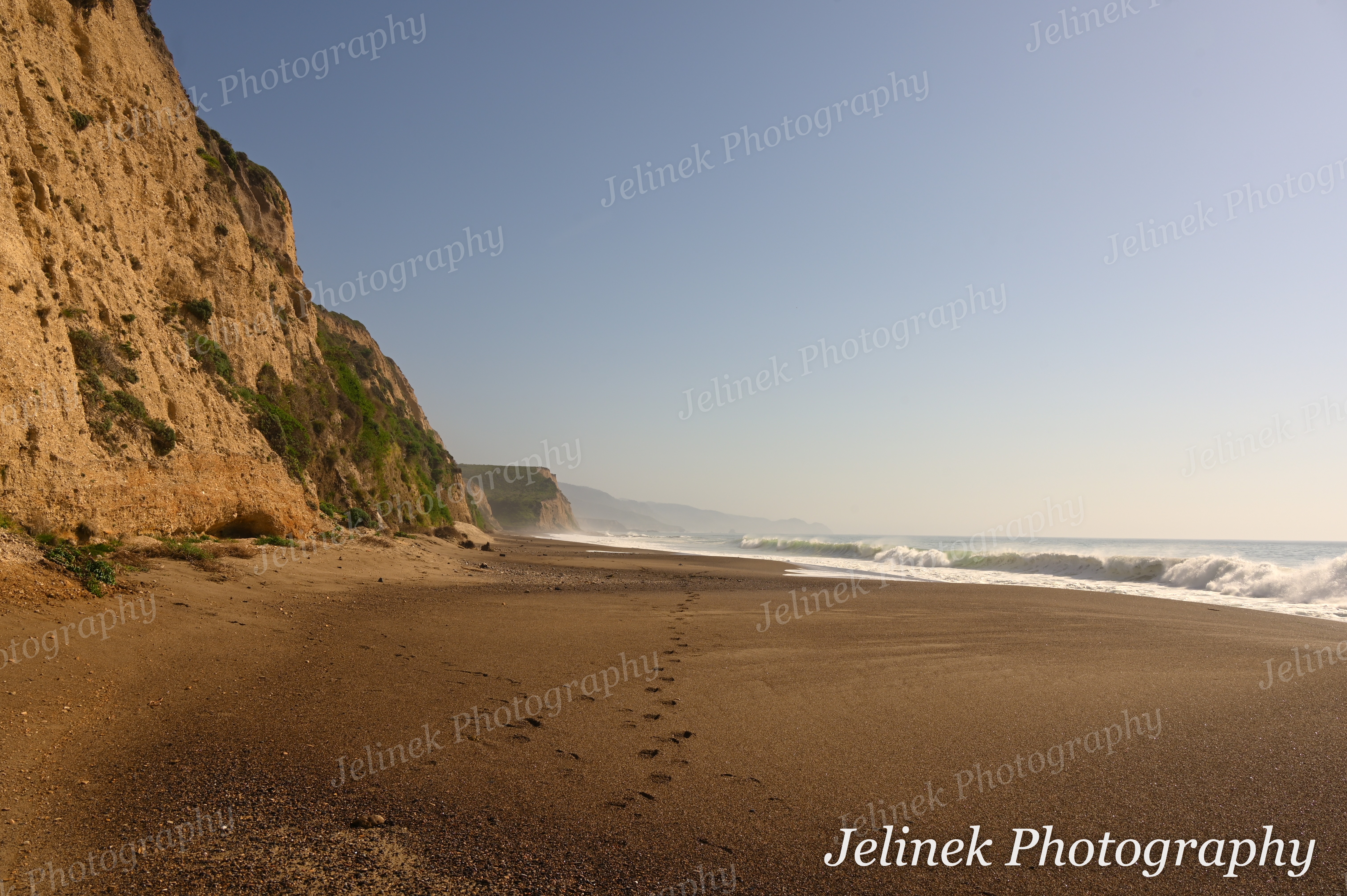 Point Reyes Coast #10