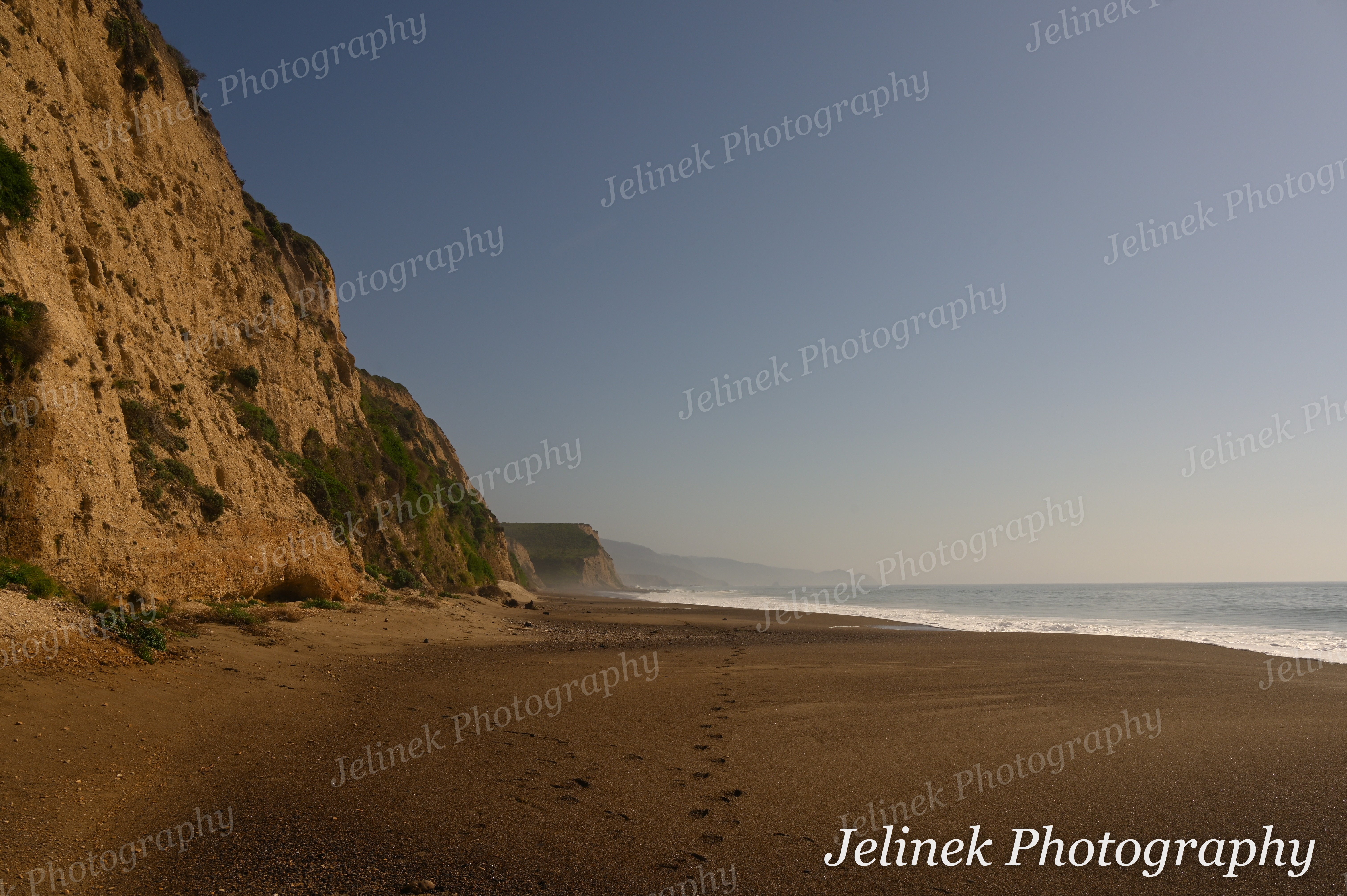 Point Reyes Coast #5